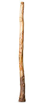 Heartland Didgeridoo (HD486)